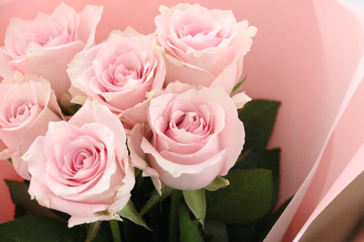 6本のピンク色のバラの花束