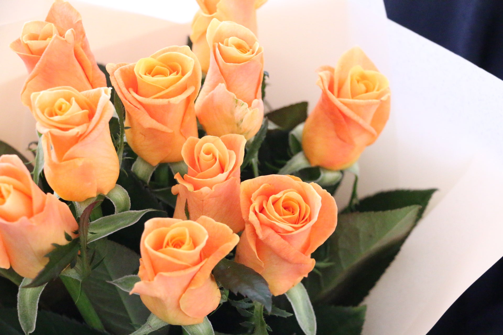 オレンジ色バラの花束（10本） – 花・花束の通販サイト｜HanaTaku