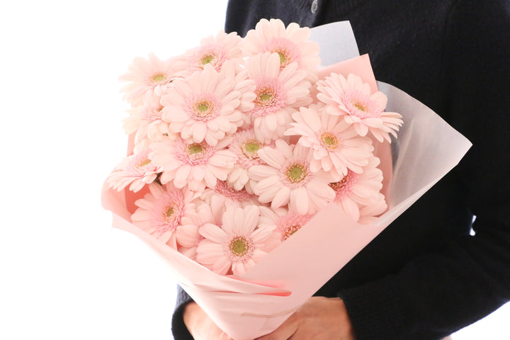 ピンク色のガーベラの花束（20本）-真心あるのみ