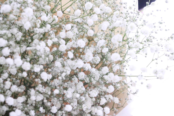 カスミソウの花束 5,000円