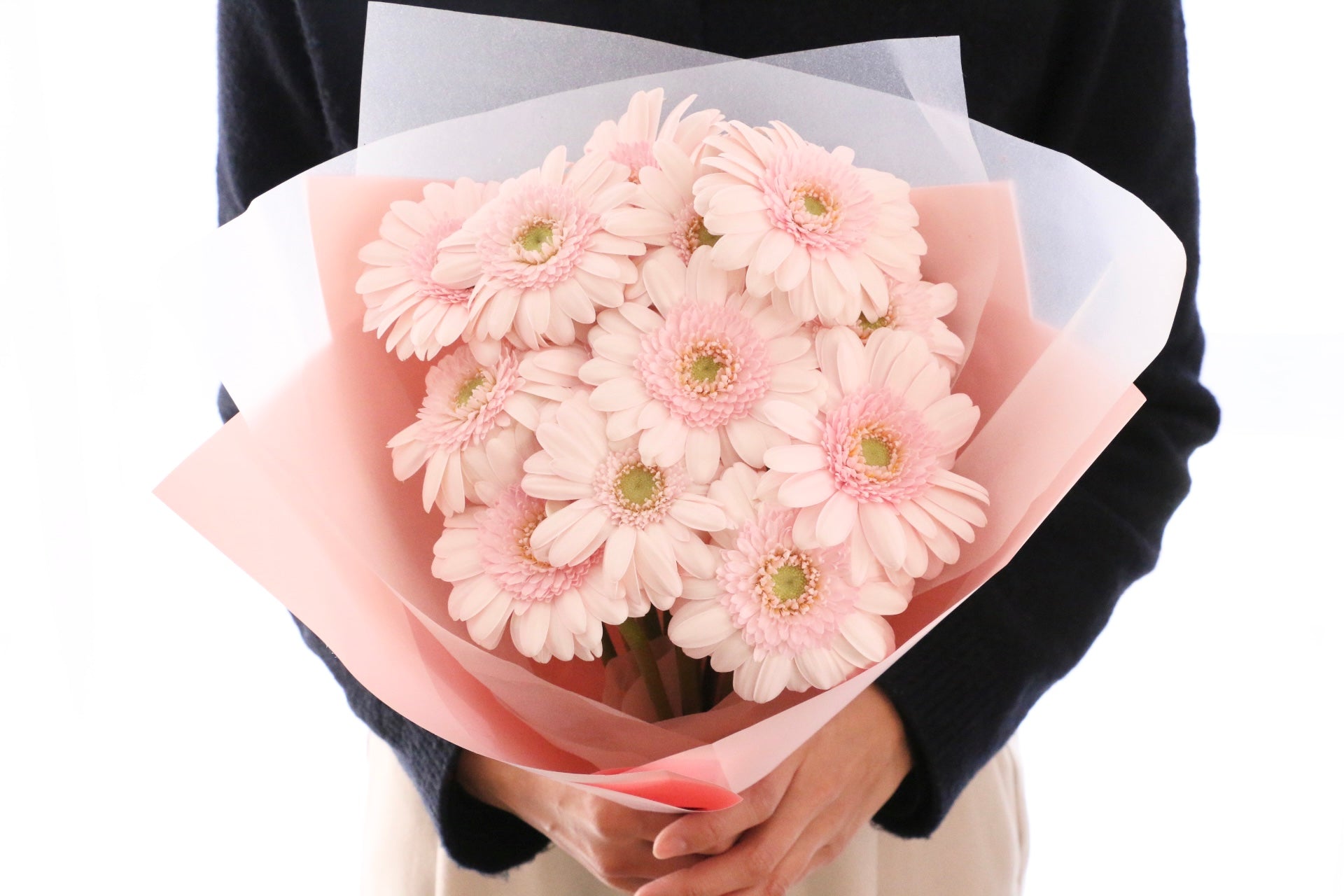 ピンク色のガーベラの花束（13本）-永遠の友情 – 花・花束の通販サイト