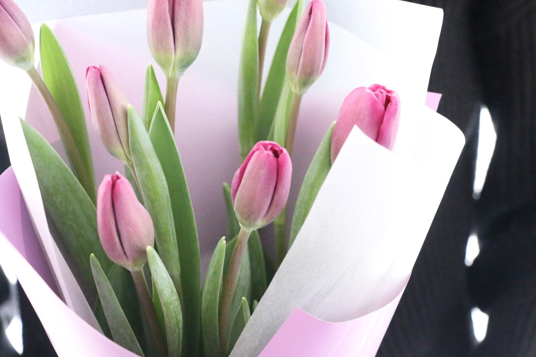 紫色のチューリップの花束（8本）