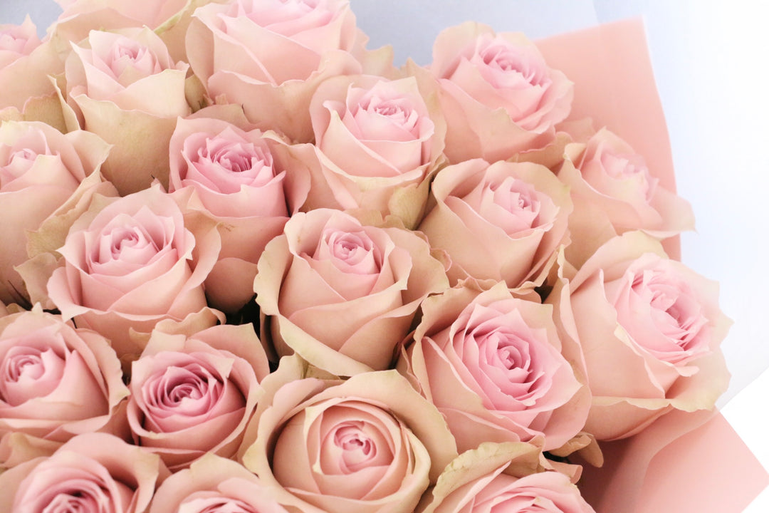 26本のピンク色のバラの花束