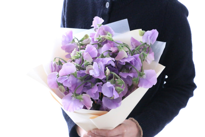 紫のスイートピーの花束（25本）