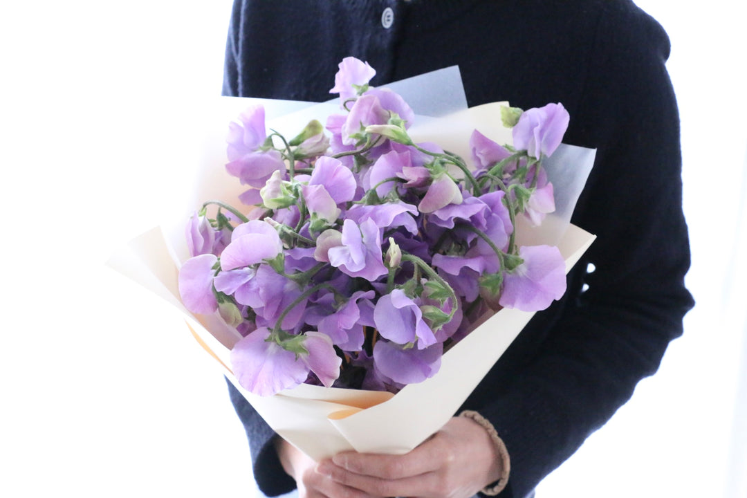 紫のスイートピーの花束（25本）