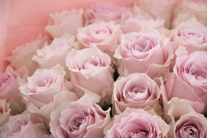 37本のピンク色のバラの花束-心からあなたを愛しています