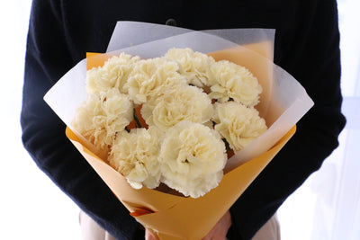 淡い黄色のカーネーションの花束（8本）-あなたの思いやりに感謝します