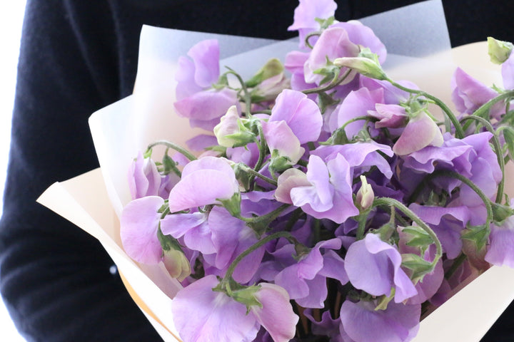紫のスイートピーの花束（25本）
