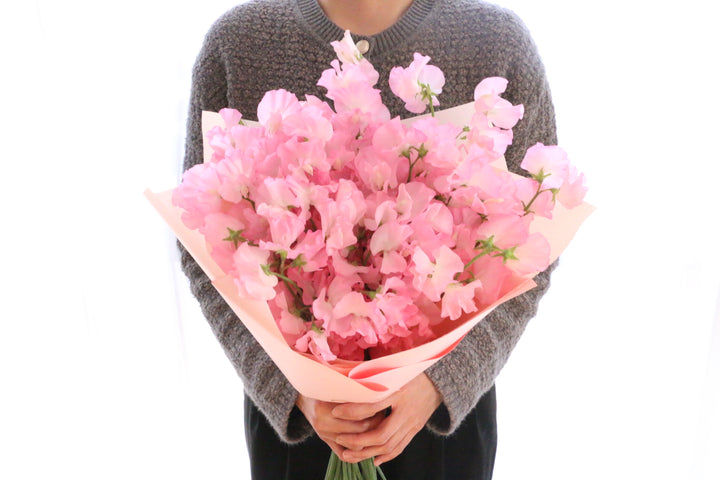 ピンク色のスイートピーの花束（40本）