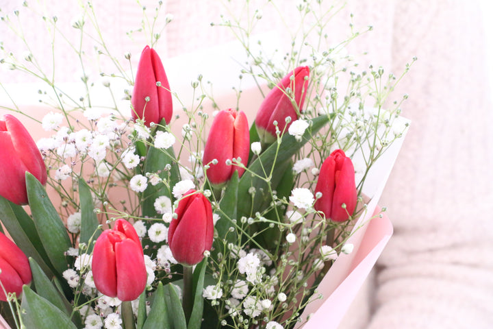 赤いチューリップ（9本）とカスミソウの花束