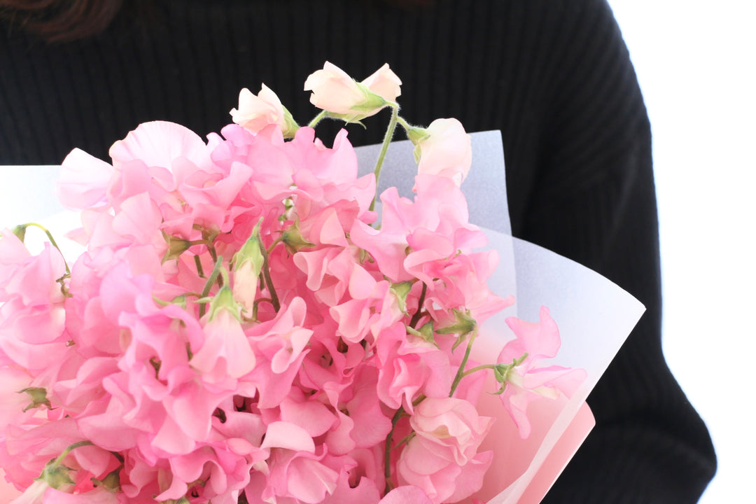 ピンク色のスイートピーの花束（25本）
