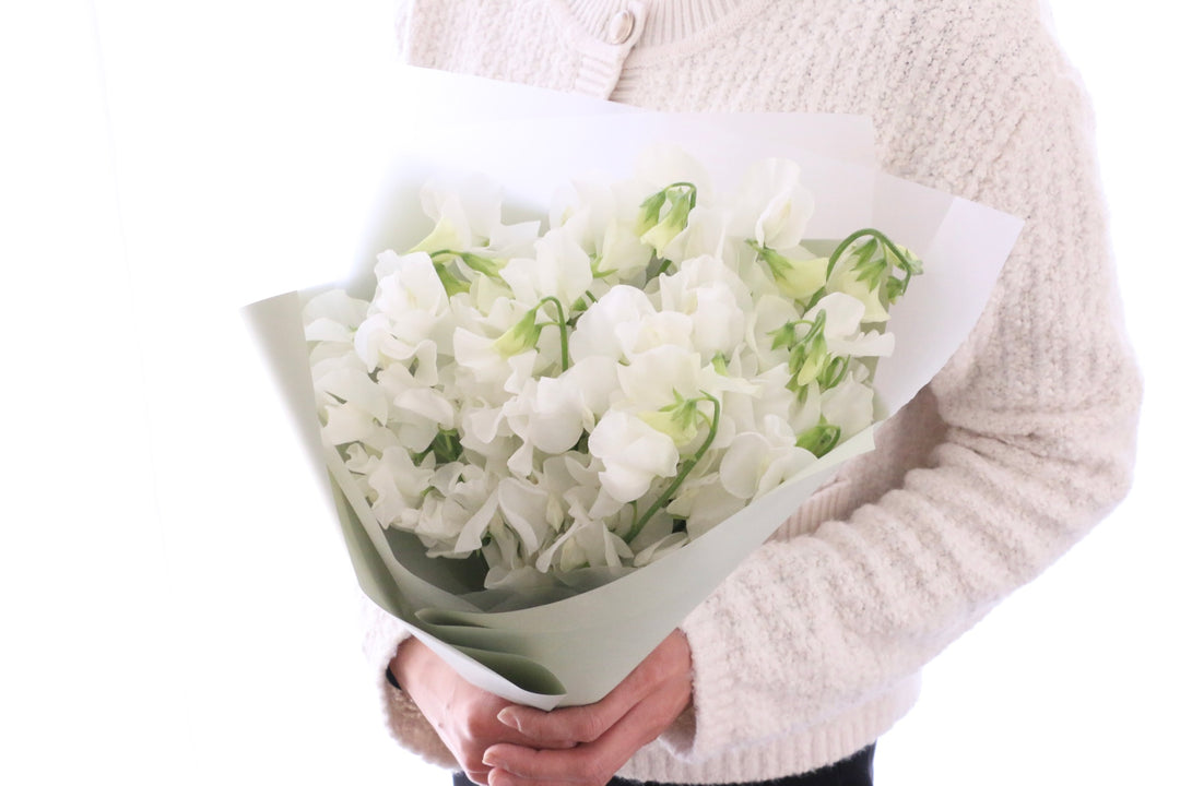白いスイートピーの花束（25本）