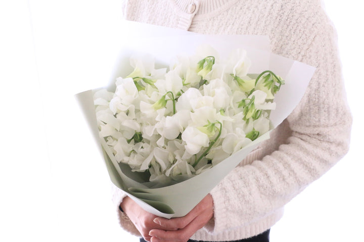 白いスイートピーの花束（25本）