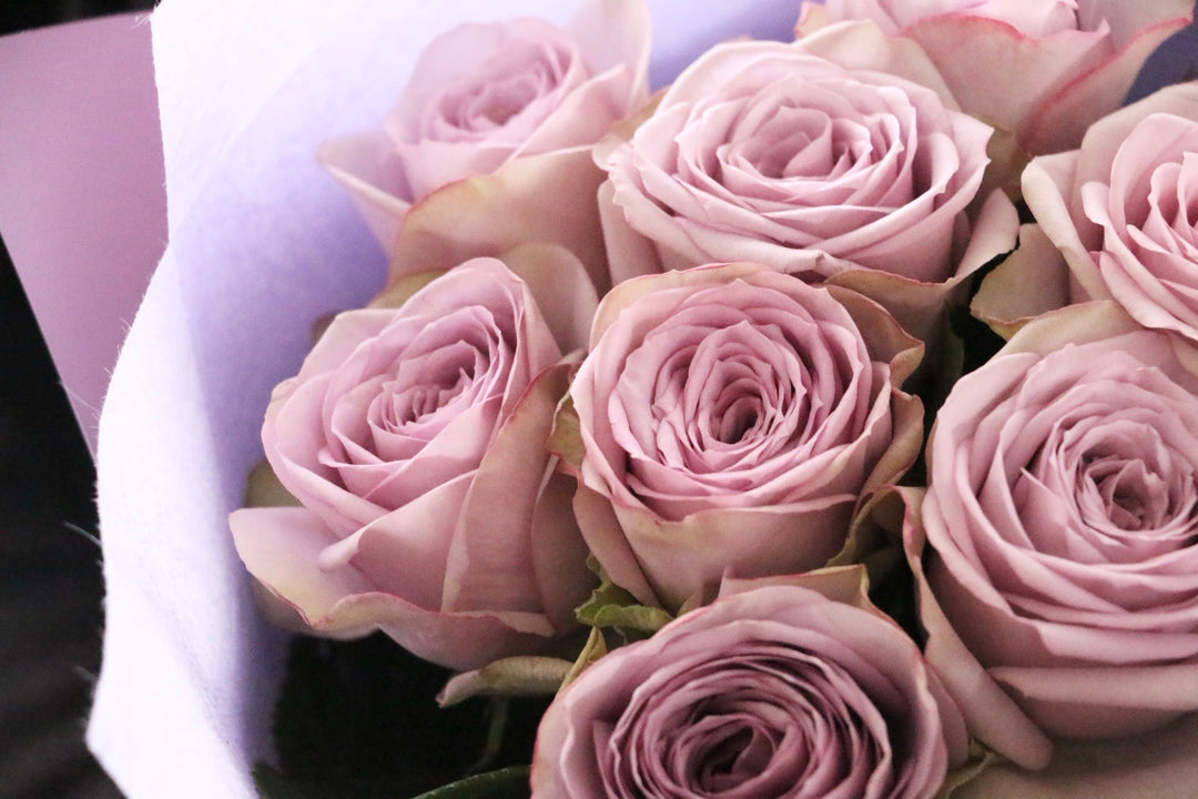 紫色のバラの花束（8本）-あなたの思いやりに感謝します