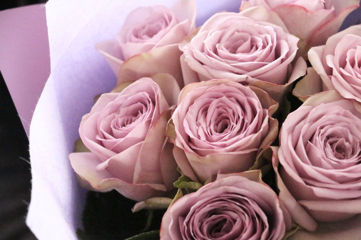 紫色のバラの花束（8本）-あなたの思いやりに感謝します