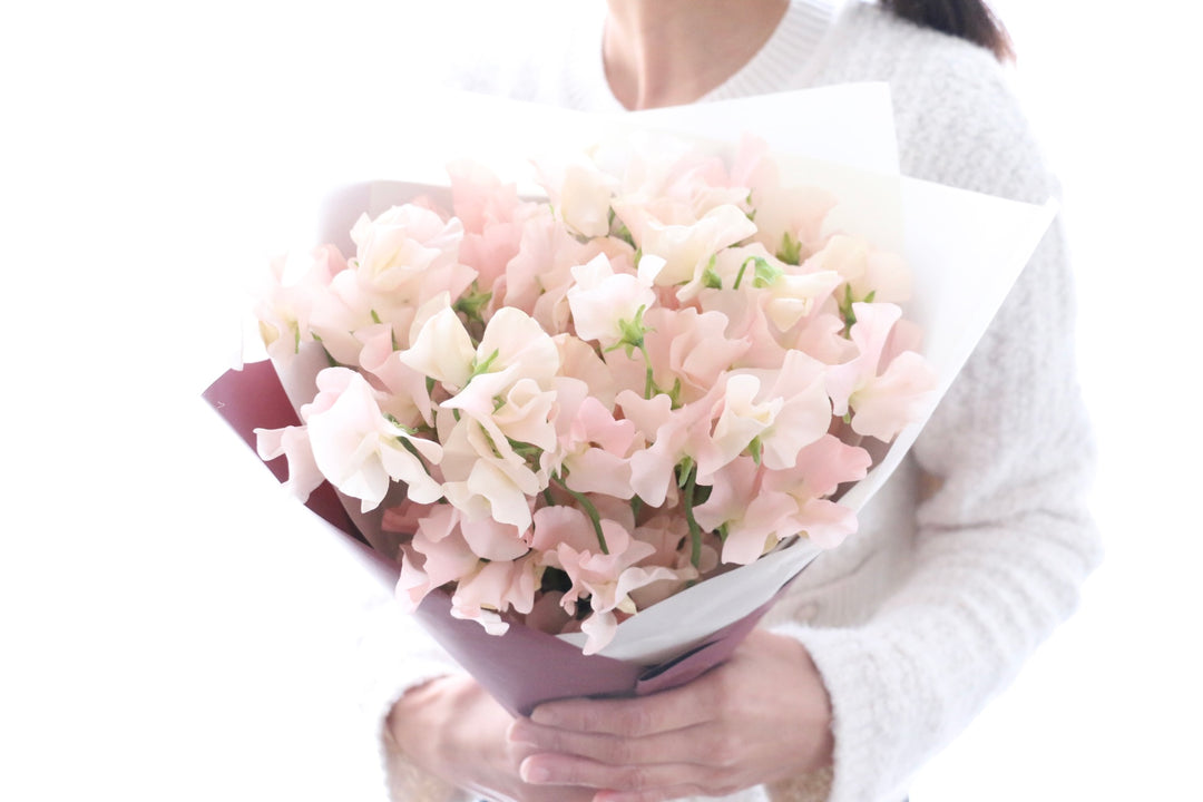 淡いピンク色のスイートピーの花束（25本）