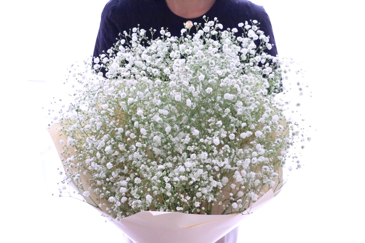 カスミソウ（かすみ草）の花束 7,000円