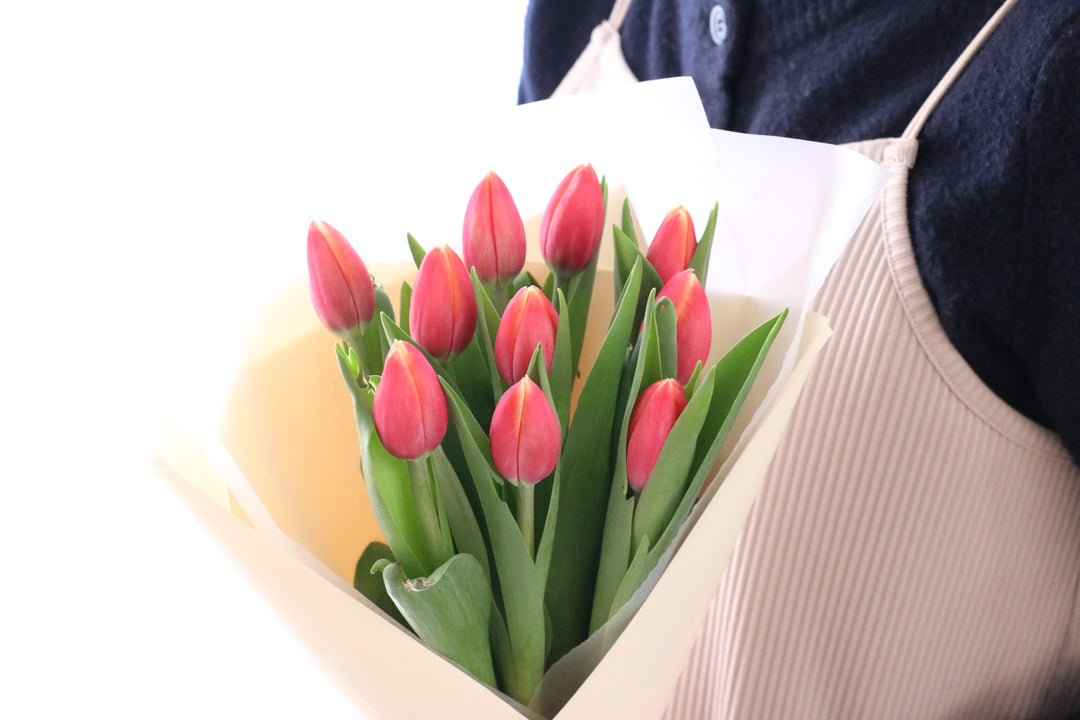 赤色のチューリップの花束（10本）