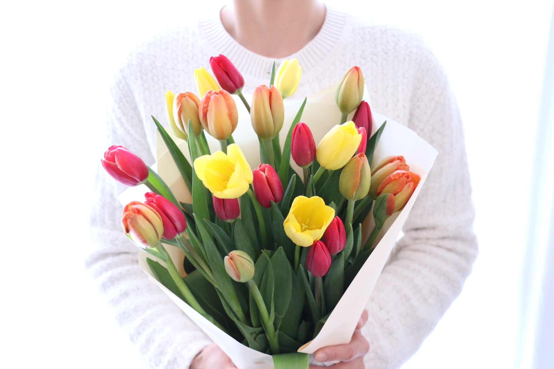 3色MIX】チューリップの花束（25本） – 花・花束の通販サイト｜HanaTaku