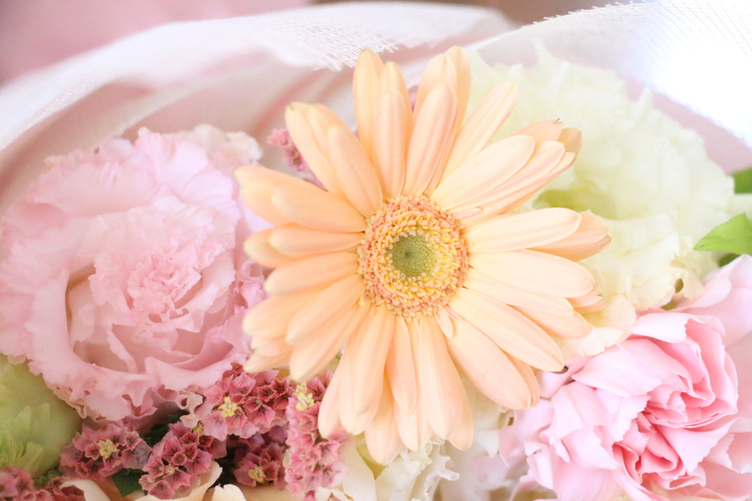 ピンク・黄色の花束　ピンク色ガーベラのアップ