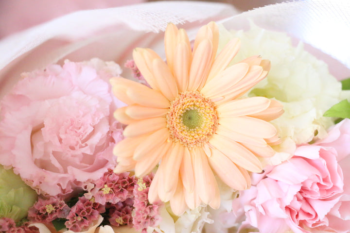 ピンク・黄色の花束　ピンク色ガーベラのアップ