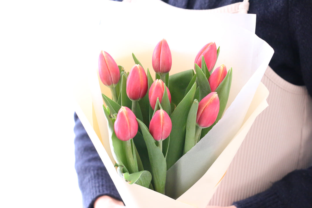 赤色のチューリップの花束（9本）