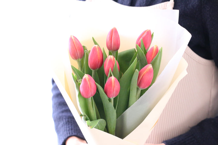 赤色のチューリップの花束（9本）