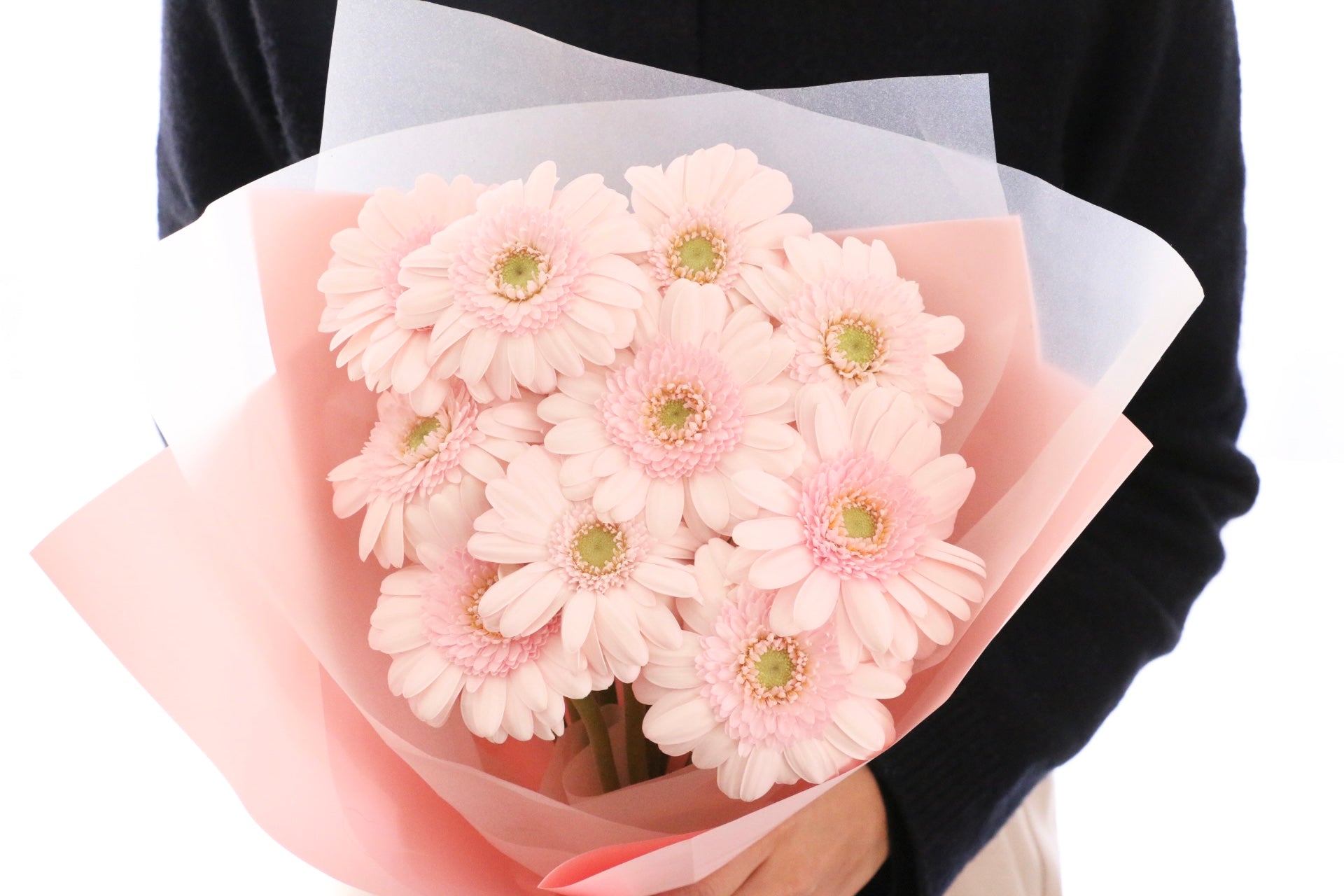 ピンク色のガーベラの花束（11本）-最愛 – 花・花束の通販サイト｜HanaTaku
