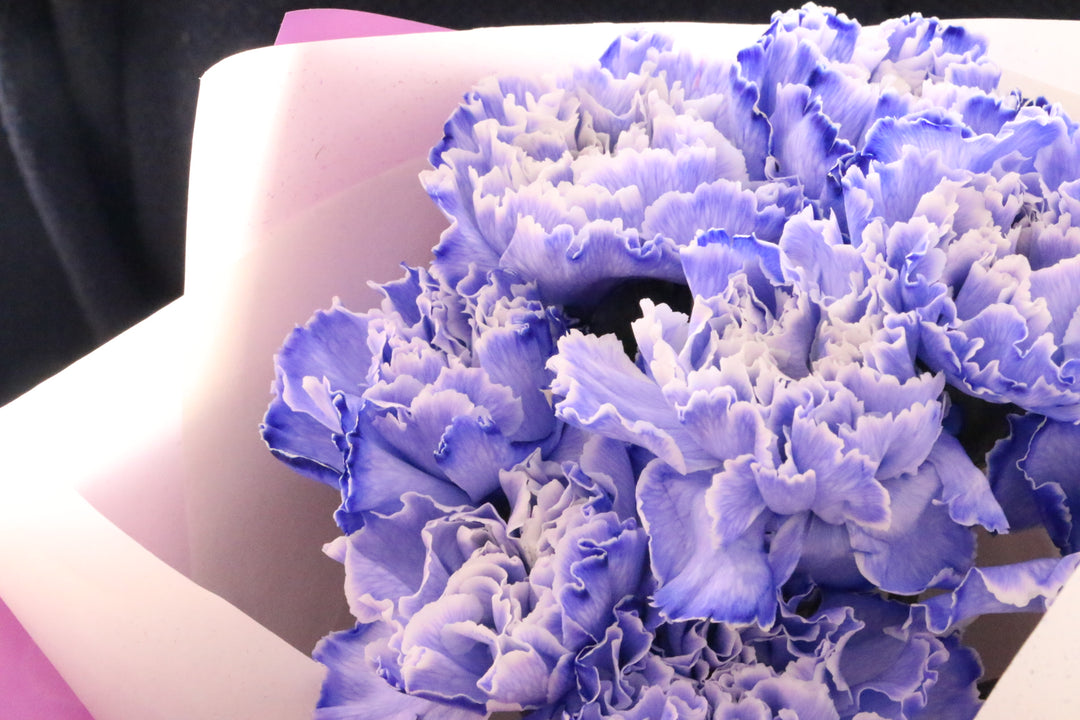 紫のカーネーションの花束（8本）