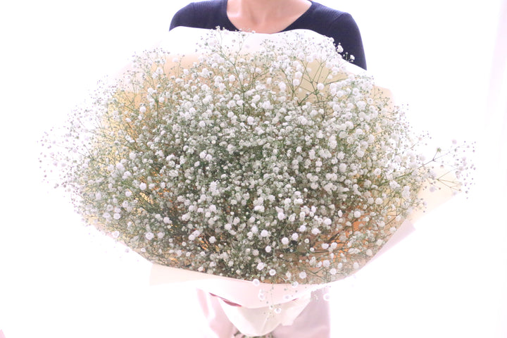 カスミソウ（かすみ草）の花束 9,000円
