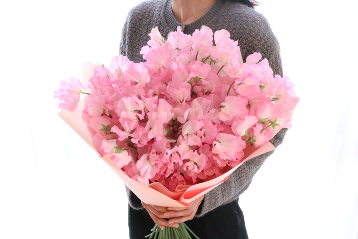 ピンク色のスイートピーの花束（50本）