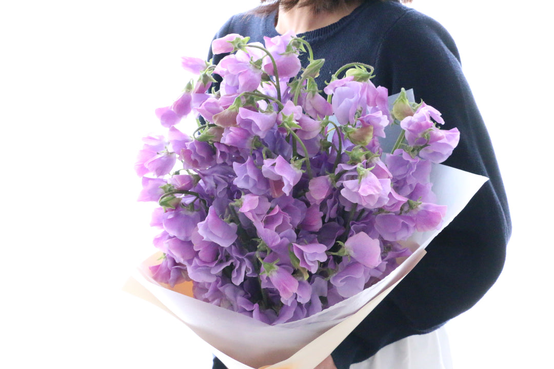 紫色のスイートピーの花束（50本）