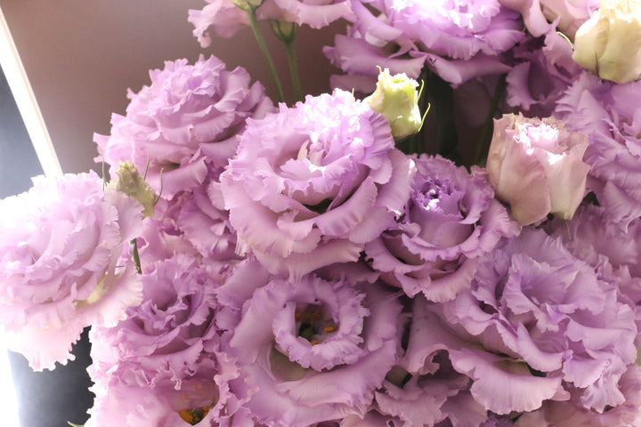 紫色のトルコキキョウの花束（7本）