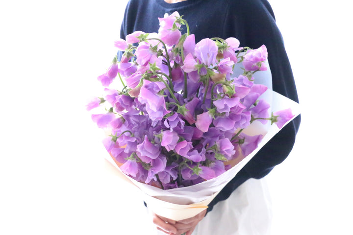 紫色のスイートピーの花束（40本）