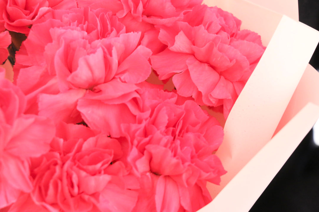 濃いピンクのカーネーションの花束（8本）-あなたの思いやりに感謝します