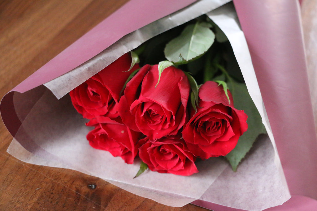 IMG_8712_1024x1024.jpg?v=