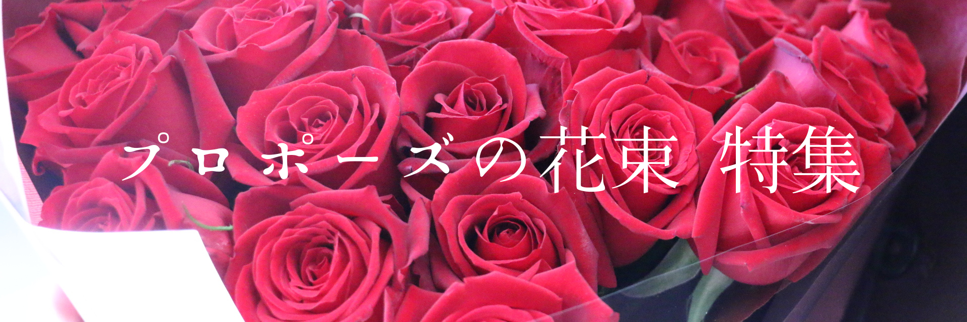 プロポーズの花束コレクションページバナー